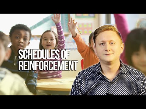 Schedules of Reinforcement In Applied Behavior Analysis (ABA)