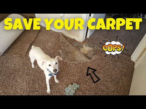 Automotive Carpet Patch Kit