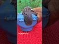 Feeding sick pigeons is very easy with a pigeon holder. #pigeon #kabutar #shorts