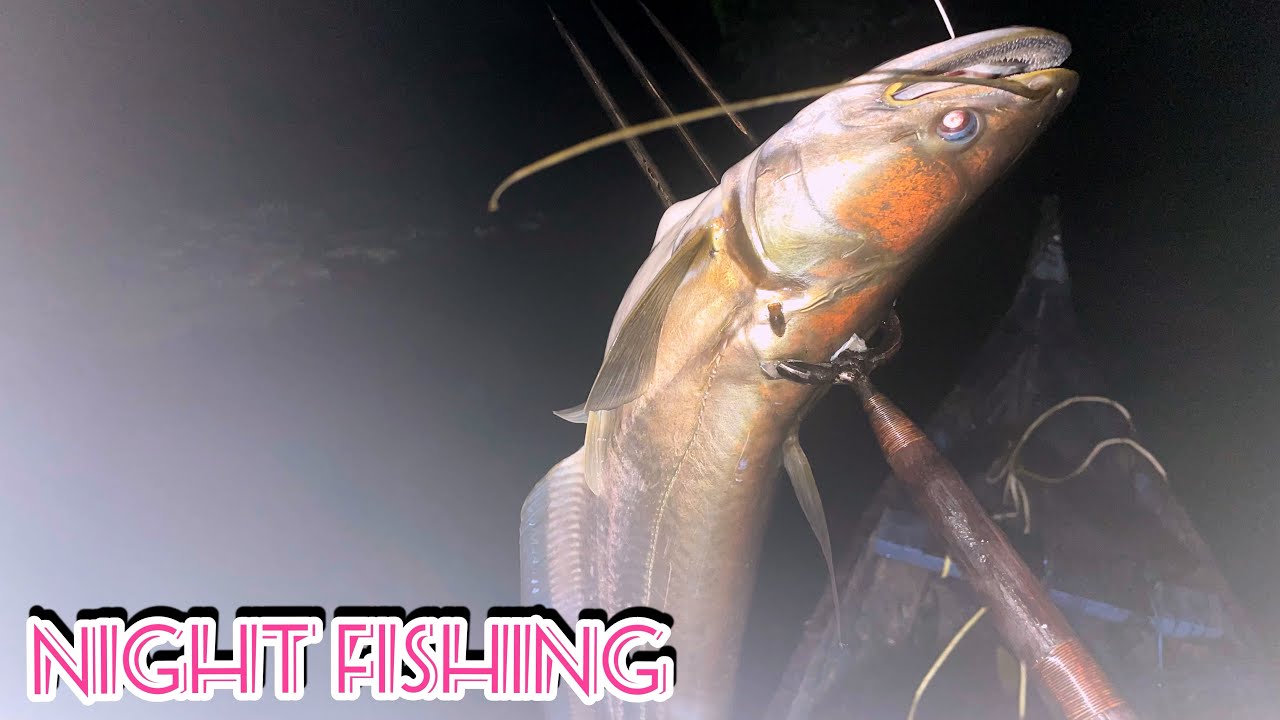 വാശിയേറിയ മീൻ പിടുത്തം 😀