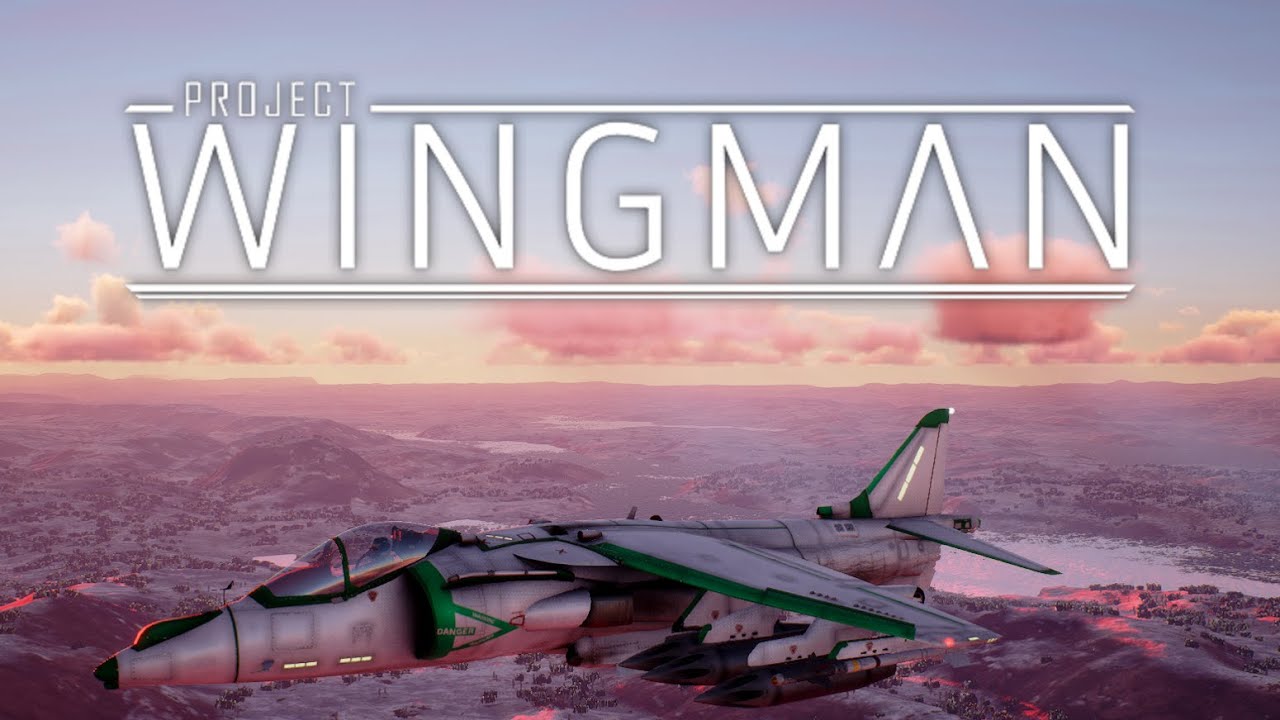 Project Wingman Mission 3 Homestead (Mercenary)