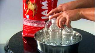 Hurricane Preparedness - Pets