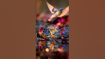 قران كريم ارح قلبك وسمعك #قران_في_دقيقة #quran #ياسر_الدوسري #قرآن @قران_في_دقيقة