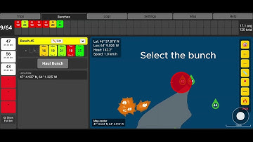 Bunch location adjustment (version 3.0.22 +)