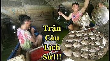 Câu Cá Nâu Cảng Vedan - Dính Nhiều Cá Nâu Khủng 0.5kg l Nghiệp Vũng Tàu Vlog #52