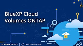 BlueXP Cloud Volumes ONTAP (CVO)