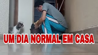 NOVO MÉTODO DE VARRER A CASA | ROTINA DE UM JOVEM CASAL #dailyvlog