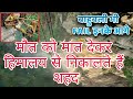 मौत को मात देकर हिमालय से निकालते हैं शहद