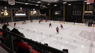 Vegas jesters hockey club live stream