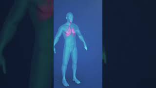 Enzimi e Cinetica: Stato di Transizione e Inibizione #biochimica #enzim #michael