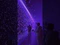 An experience that pulls you out of the everyday