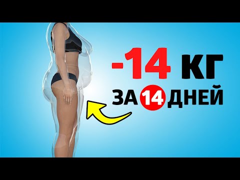 Видео: Диета за 10 дни - минус 10 кг: ТОП 5 диети