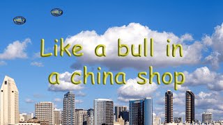 Like a bull in a china shop | American Idiom