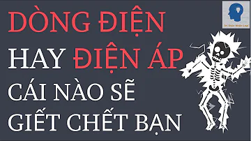Co znamená sen o stromě ve snu?