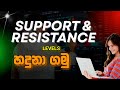 Support & Resistance Levels ගැන ඉගෙනගමු | Lesson 9 | Free Crypto Trading Course for Beginners
