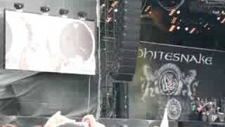 Whitesnake Arrow 2008