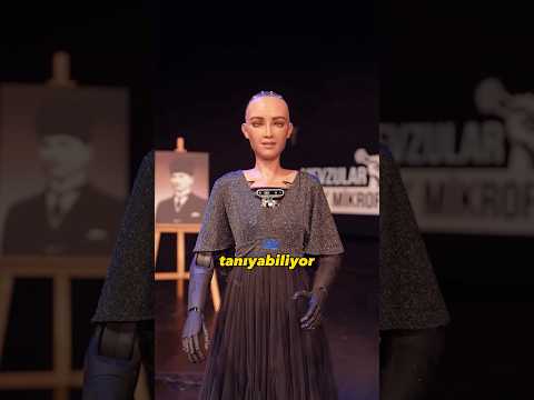 Robot Sophia vs