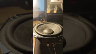 Test Sony woofer #bass