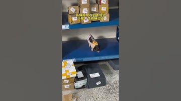 Whose express delivery is still a fragile product and a confusing behavior of human beings? Haha