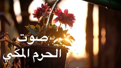 تلاوة نادرة | صوت الحرم المكي | الشيخ ياسر الدوسري
