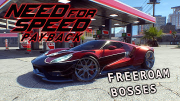 Beating All Roaming Bosses (No Commentary)