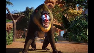 Planet Zoo Reddit AMA & New Beta Trailer!