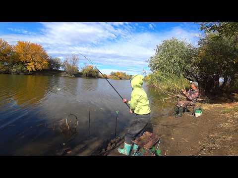 ВО ДАЁТ! РЕБЕНОК ЛОВИТ РЫБУ НА ВСЁ. РЫБАЛКА НА ПОПЛАВОК И ДОНКУ. Осенняя рыбалка поплавочную удочку