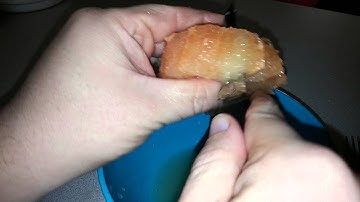 How to Section a Grapefruit