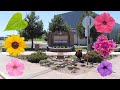 Planting Low Maintenance/High Impact Plants at Our Local Community College! 👩‍🎓🙌💚 // Garden Answer