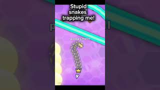 Snake.io… #cool #meme #memes #icanspell #funny #notroblox #snakeio #snake #gameplay #plsdontflop