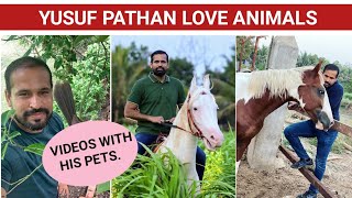 animal collection || yusuf pathan screenshot 5
