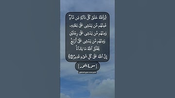 سورة النور الآية ٤٤ و ٤٥ بصوت الشيخ محمد صديق المنشاوي