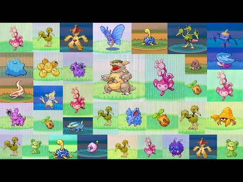 LIVE, SAFARI ZONE DE GOYANG! SPAWN INCRÍVEL COM NOVOS SHINIES