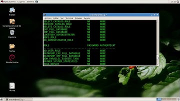 Gestión de usuarios, roles y privilegios en Oracle 11G - SQLPLUS