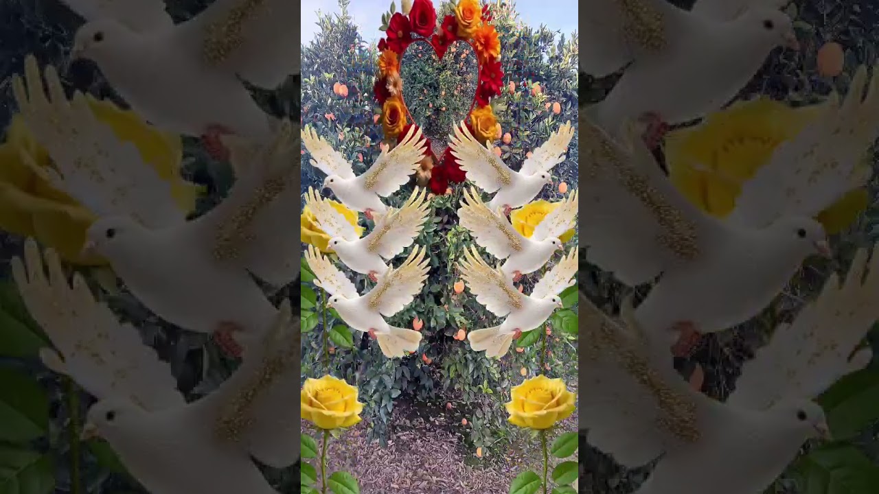 Gracias a Dios por todo su bendici&oacute;n.