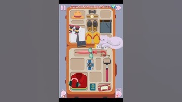 Perfect Tidy level 10 #foryou #shortvideo #youtubeshorts