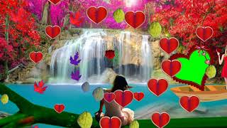 Girl Love Wedding Green Screen Effect Background Video 2020