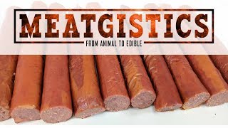 Meatgistics: The Importance of Protein Extraction