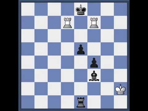 Curso de Xadrez 8.8 Setima Fila