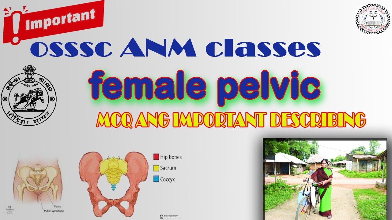 osssc-anm-classes-mphw-exam-preparation-female-pelvic-youtube