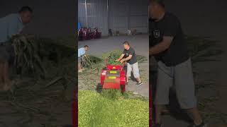 High-Powered Forage Shredder: Chopping Massive Corn Stalks Instantly! #shorts