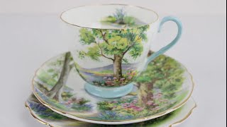 Vintage Shelley “Woodland” Bone China Trio Set #shelleychina #vintagechina #ebayreseller