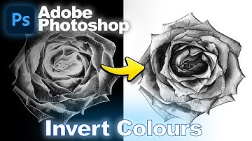 How to Invert Colors in Photoshop