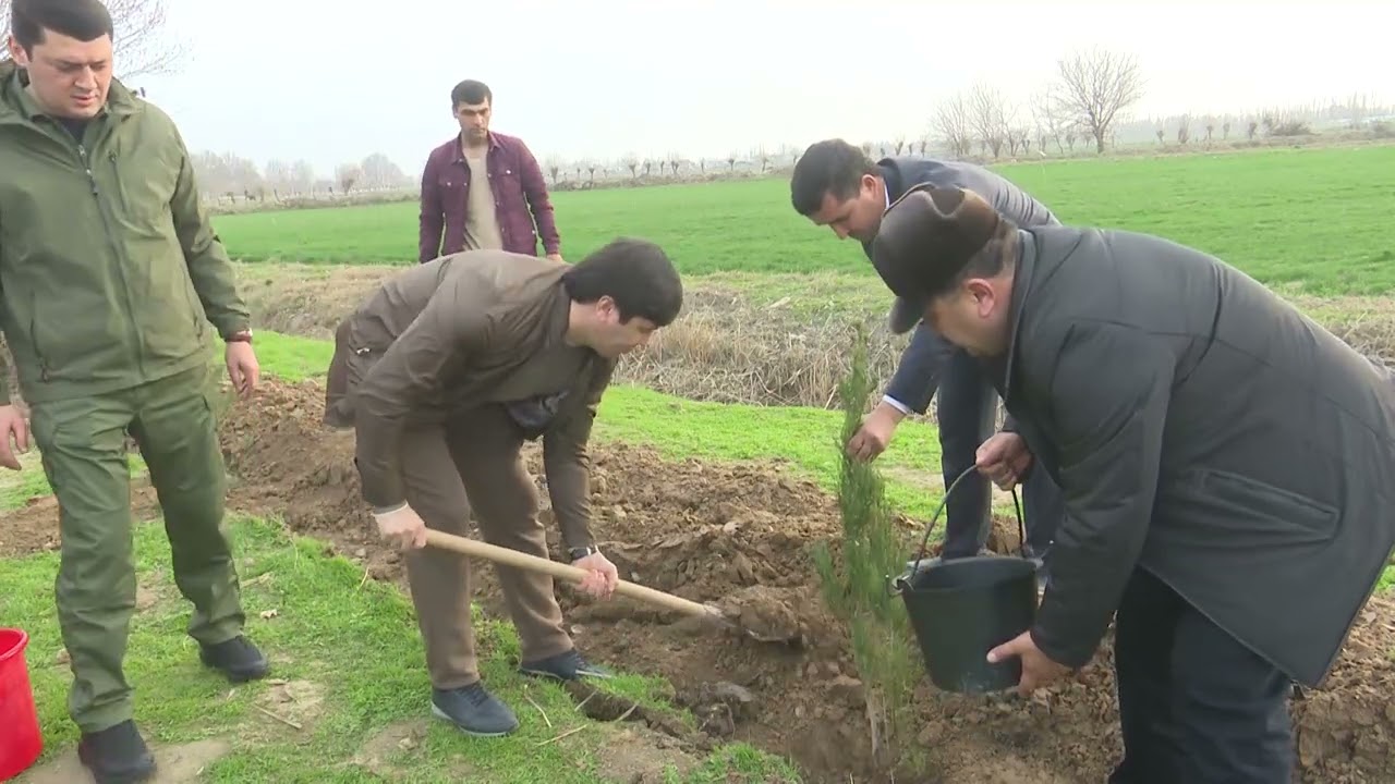 21 февраля 2026 г.