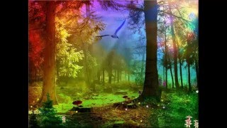 Multex - Magical