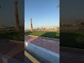 نبات الرجلة