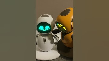 Eilik Silver reads da book, But… #robot #eilik #eilikrobot #energizelab @proactivateshop