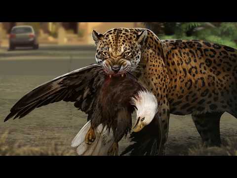 America Might Soon Have A New Big Cat Species