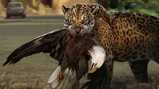 America Might Soon Have A New Big Cat Species