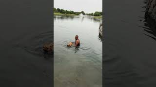 @betterbestdogtv The frenchies can swim’